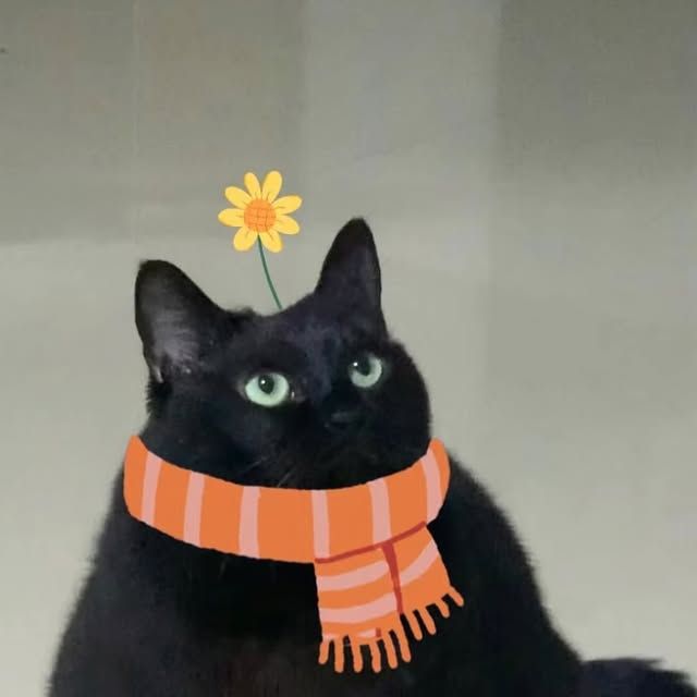 Тестовый рецепт4353534