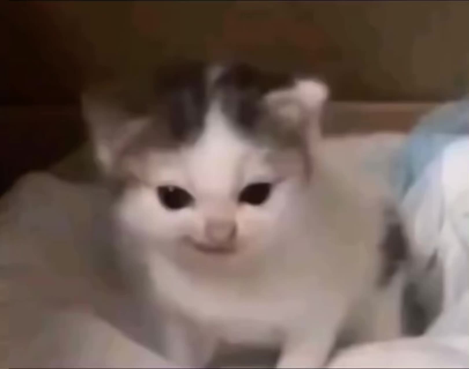 Я