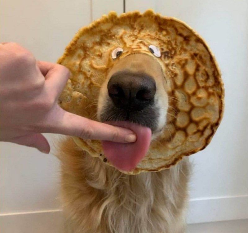 Блинчик с мясом